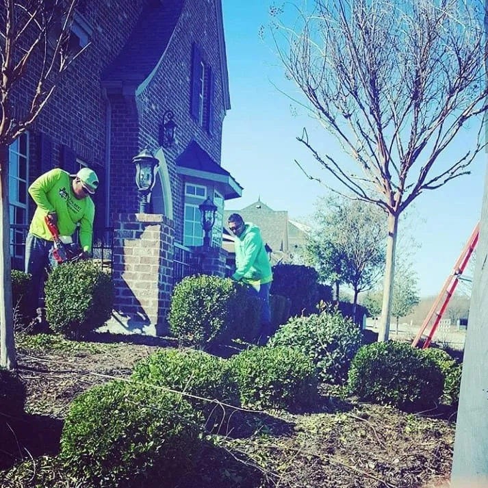 Affordable yard cleanup service in Mercedes, TX by South Texas SuperScapes Lawn Care