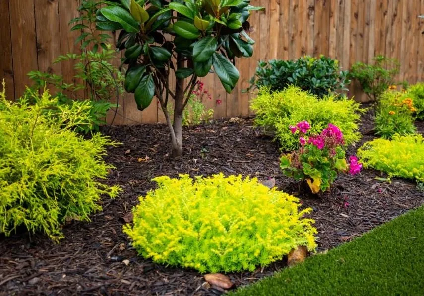 Expert lawn mowing service for residential properties across Mercedes, TX - South Texas SuperScapes Lawn Care