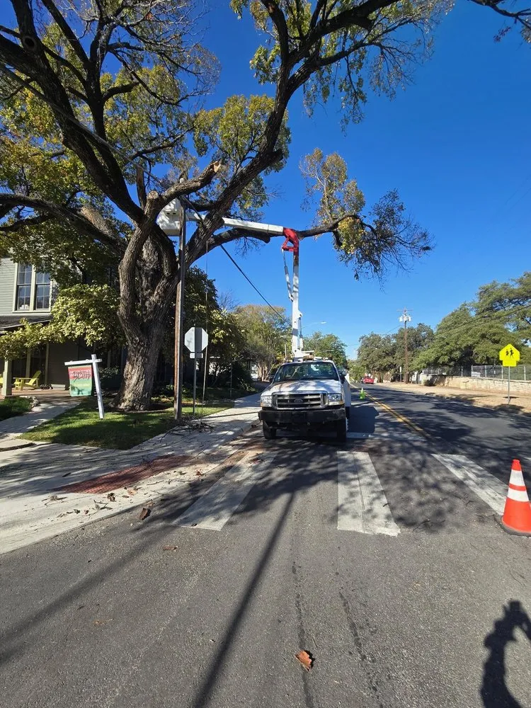 Local landscape installation with custom design across San Antonio, TX - South Texas Tree Service