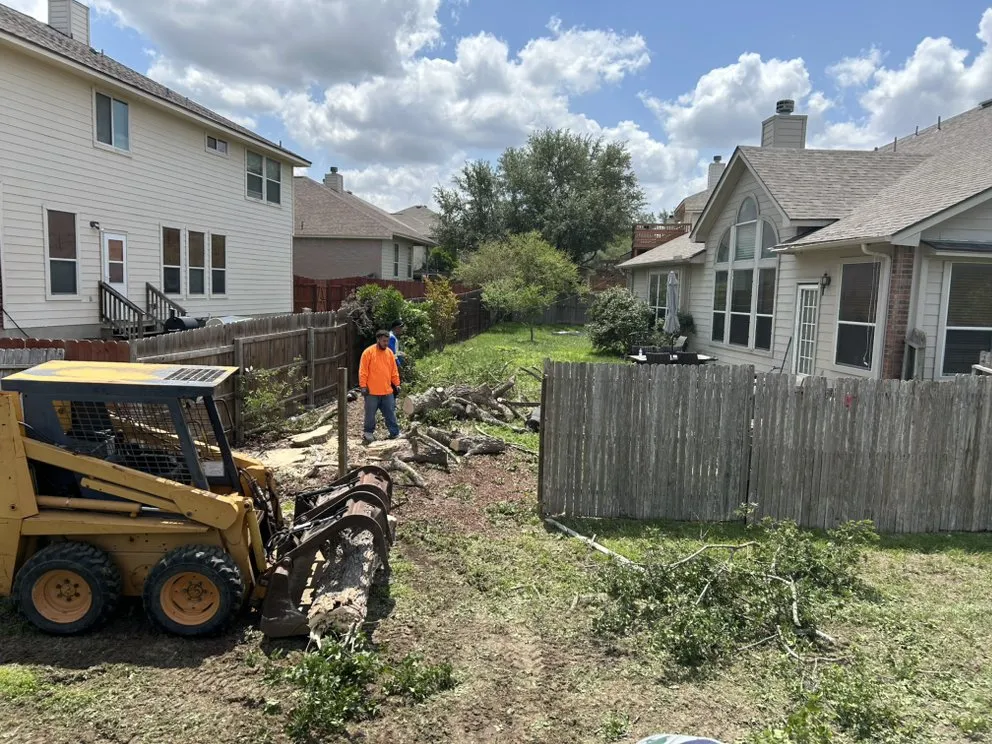 Local landscape design for beautiful yards across San Antonio, TX - South Texas Tree Service