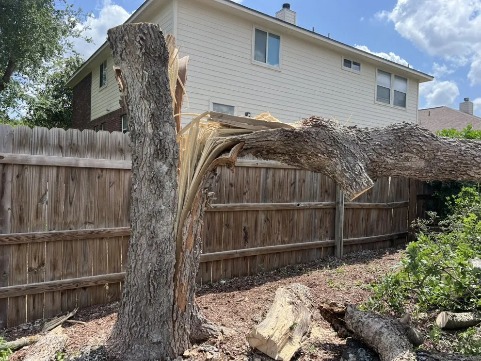 Expert garden landscaping near you across San Antonio, TX - South Texas Tree Service