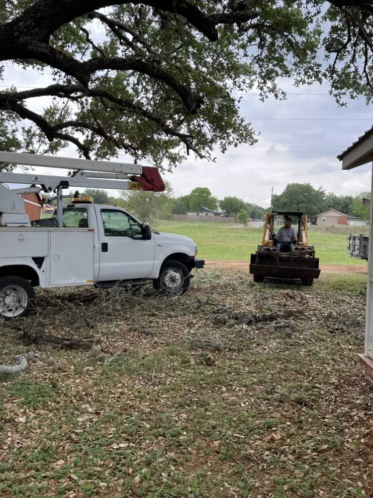 Trusted yard maintenance for homes across San Antonio, TX - South Texas Tree Service