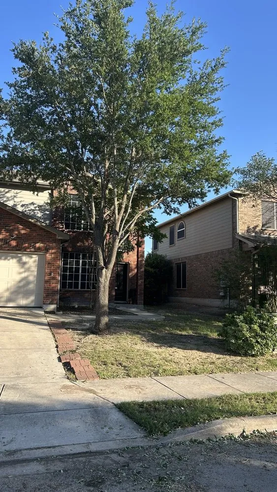 Top-rated landscape installation for beautiful yards across San Antonio, TX - South Texas Tree Service