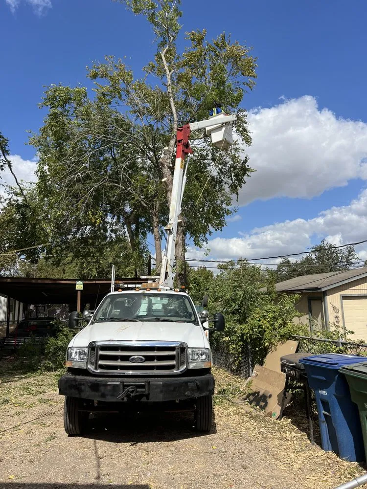 Expert residential landscaping in San Antonio, TX - South Texas Tree Service