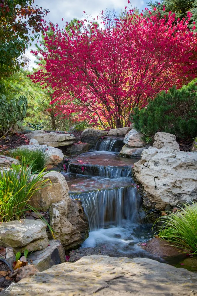 Top-rated landscaping services in Victoria, TX - South Texas Waterscapes