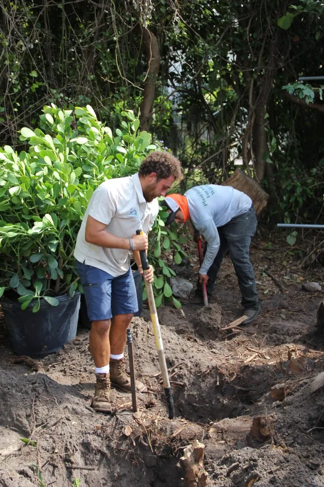 Custom landscape design for residential properties in Ocoee, FL by South Tide Services