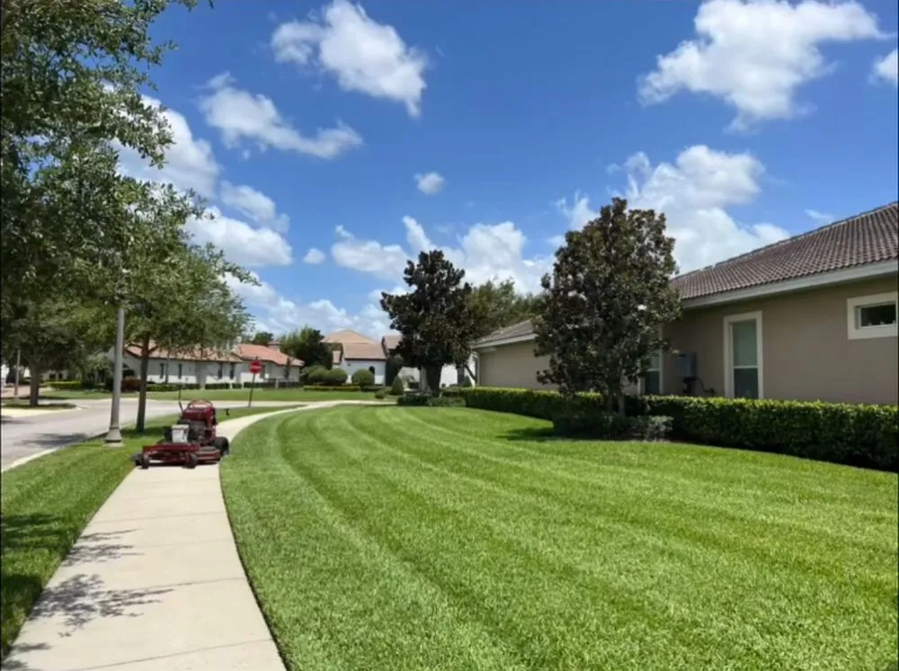 Reliable landscaping services for beautiful yards in Ocoee, FL by South Tide Services