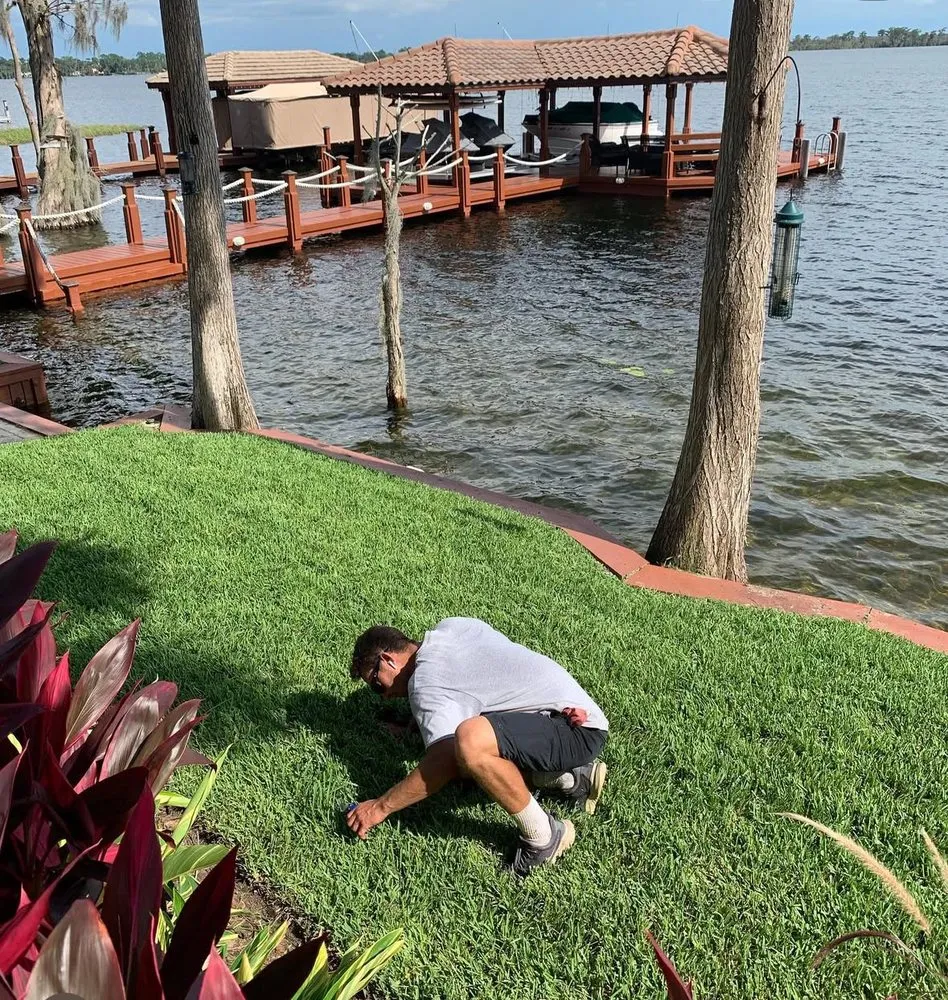 Trusted garden landscaping experts serving Ocoee, FL - South Tide Services