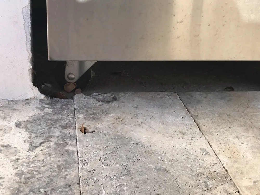 Professional lawn care service in San Jose, CA - South Valley Landscape Construction