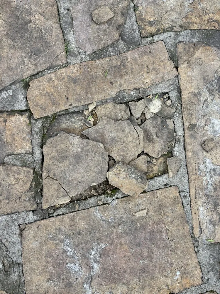 Reliable garden landscaping experts serving San Jose, CA - South Valley Landscape Construction