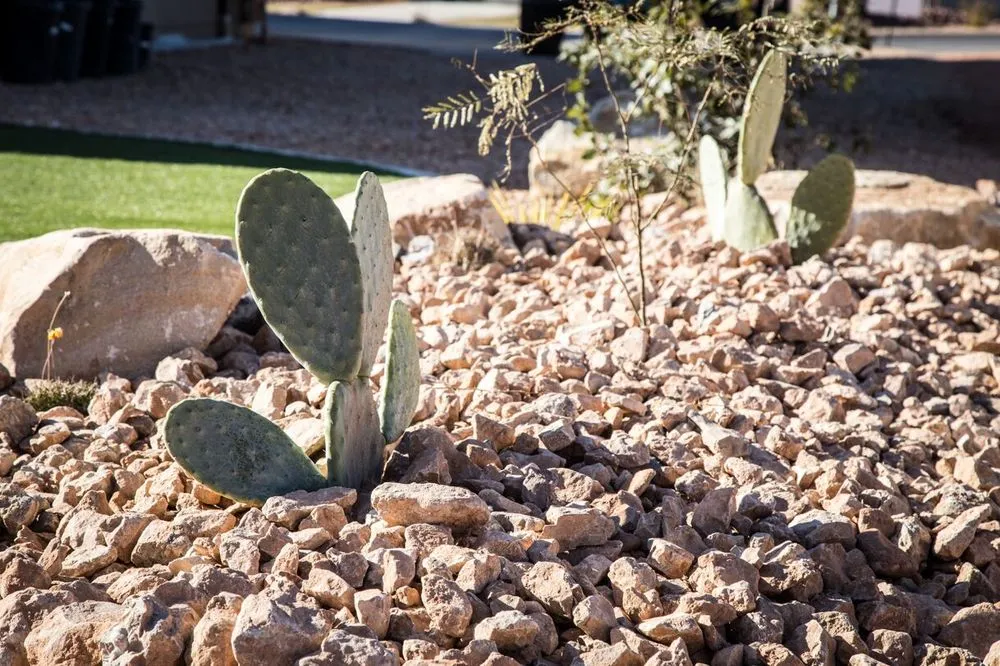 Affordable lawn care service for residential properties in St. George, UT by South Valley Landscaping