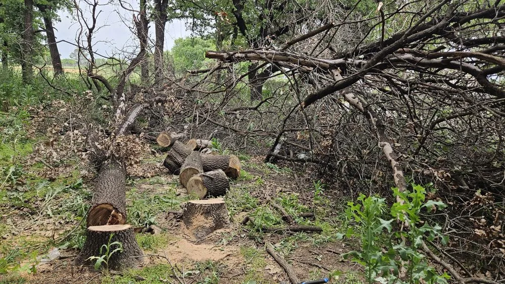 Local landscape design near you across Boyd, TX - South Wise Services