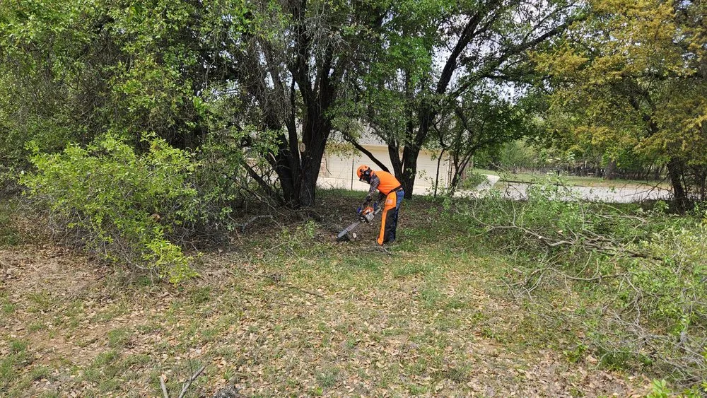 Affordable lawn mowing service near you in Boyd, TX by South Wise Services