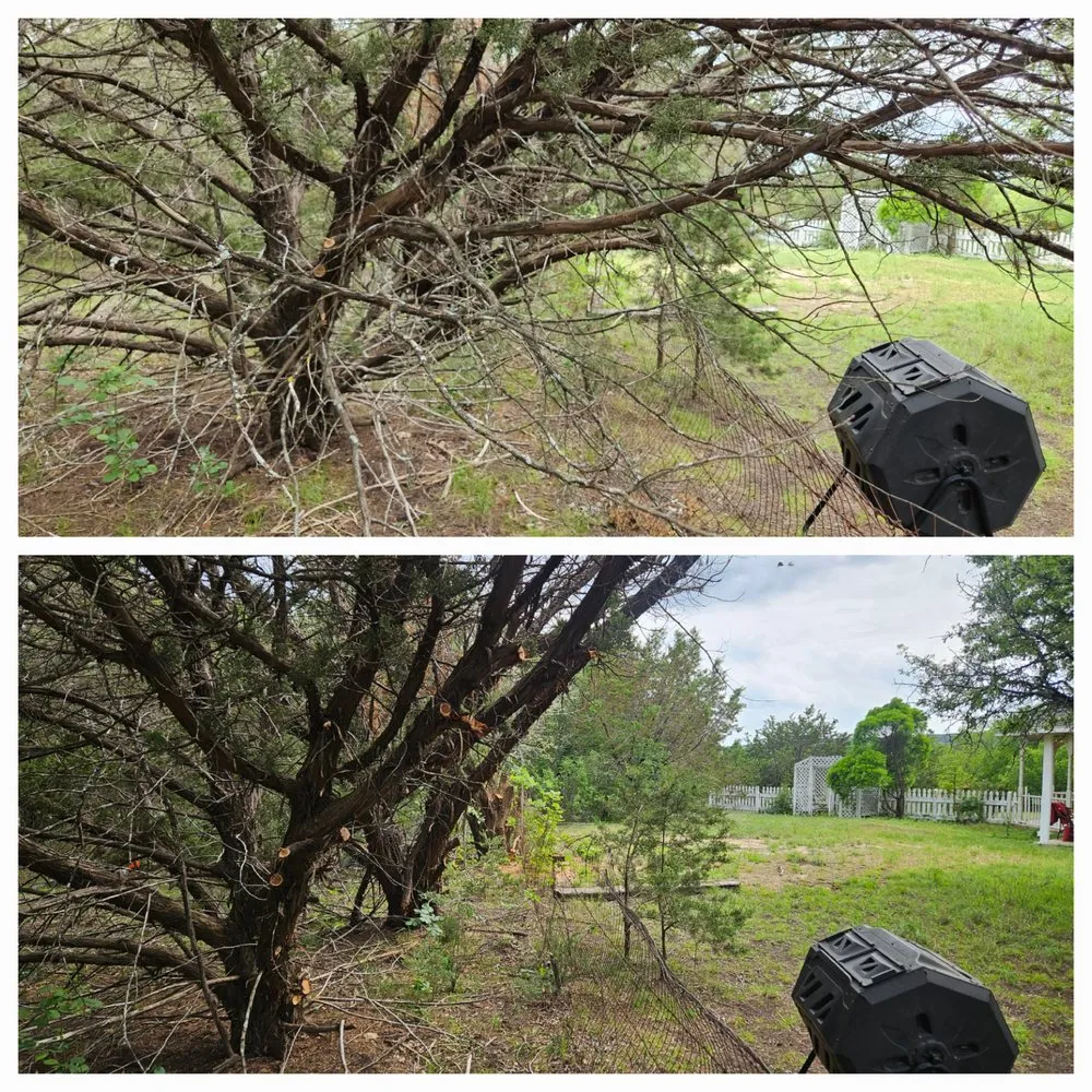 Local lawn care service in Boyd, TX - South Wise Services