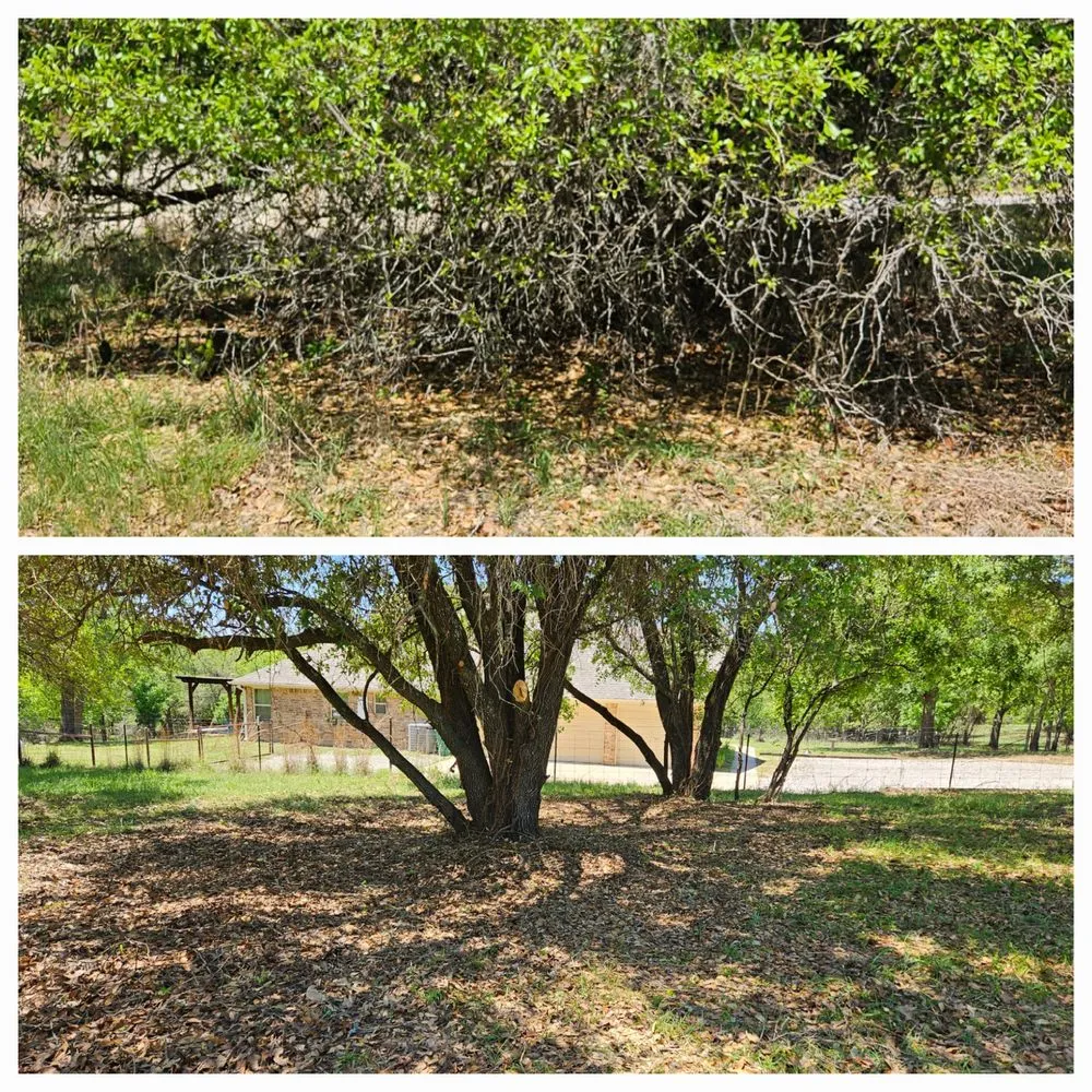 Local landscape installation for outdoor upgrades in Boyd, TX by South Wise Services
