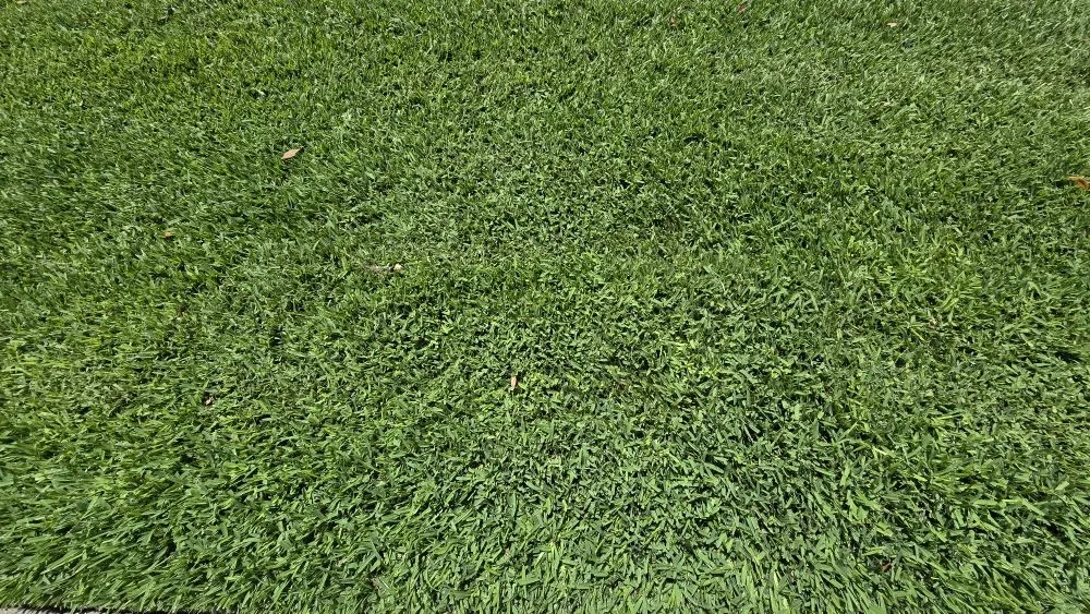 Reliable landscape installation for residential properties in Holiday, FL by Southard Lawn Care