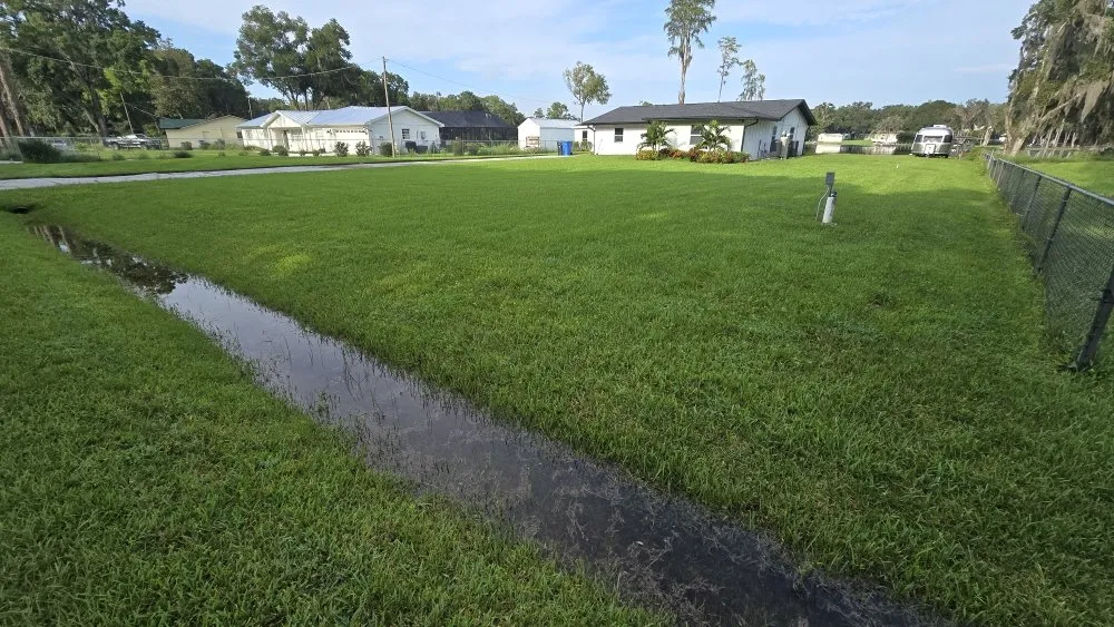 Local residential landscaping for year-round maintenance across Holiday, FL - Southard Lawn Care