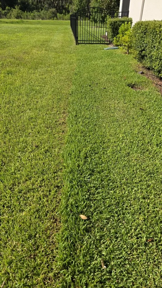 Custom residential landscaping experts serving Holiday, FL - Southard Lawn Care