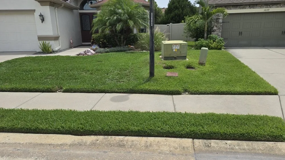 Top-rated landscape installation in Holiday, FL by Southard Lawn Care
