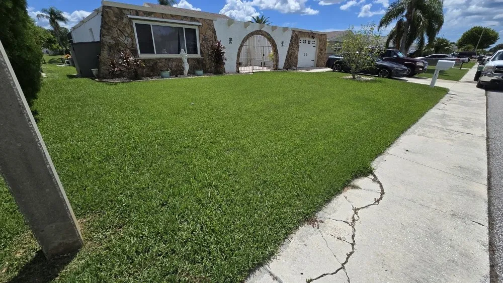 Custom yard maintenance in Holiday, FL - Southard Lawn Care
