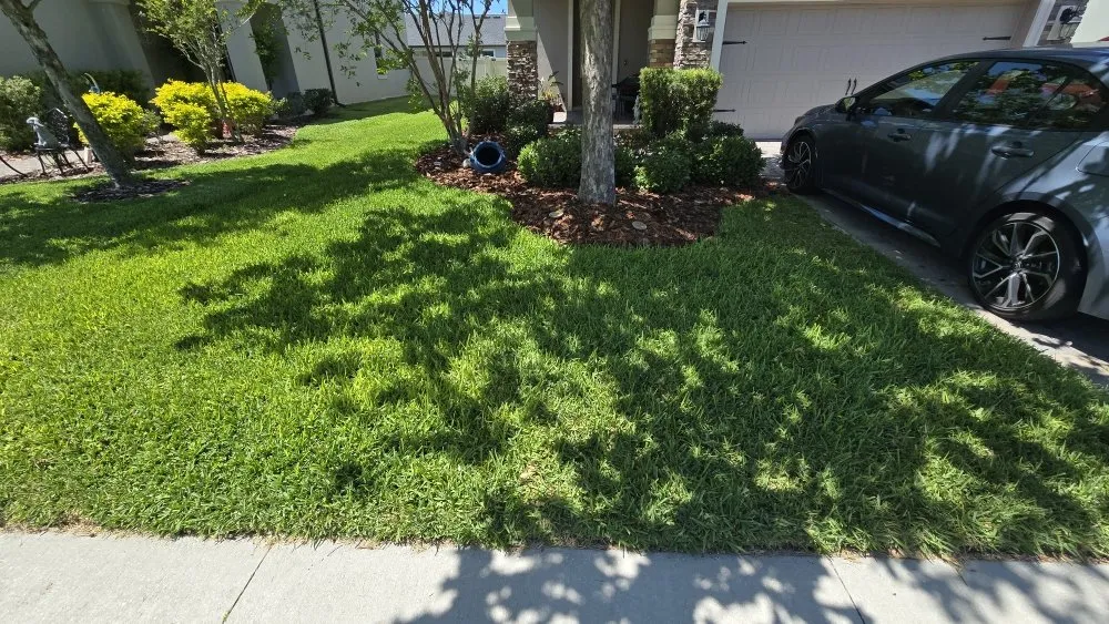 Top-rated residential landscaping for beautiful yards across Holiday, FL - Southard Lawn Care