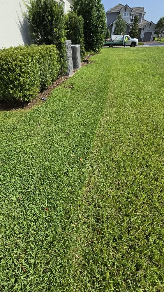 Trusted lawn care service experts serving Holiday, FL - Southard Lawn Care