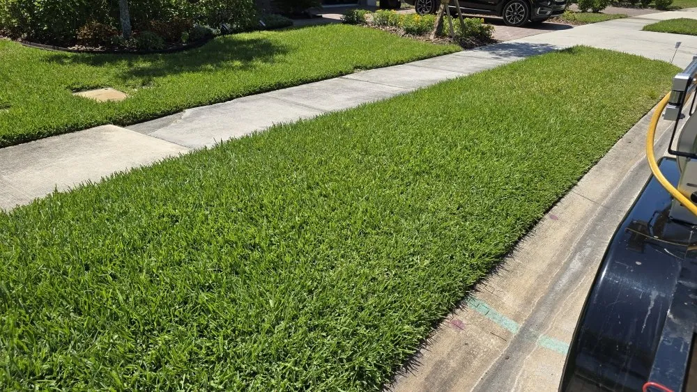 Custom lawn care service experts serving Holiday, FL - Southard Lawn Care