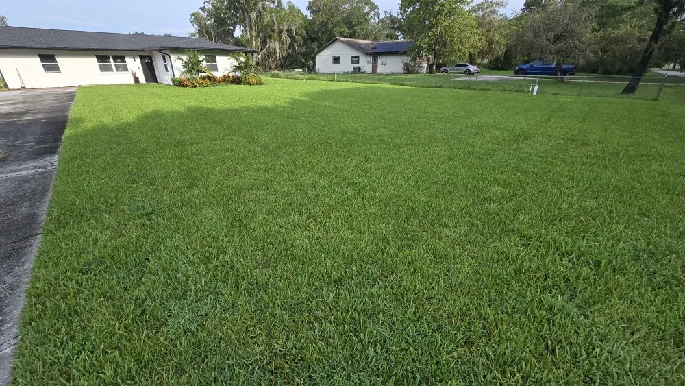 Professional lawn care service for beautiful yards across Holiday, FL - Southard Lawn Care