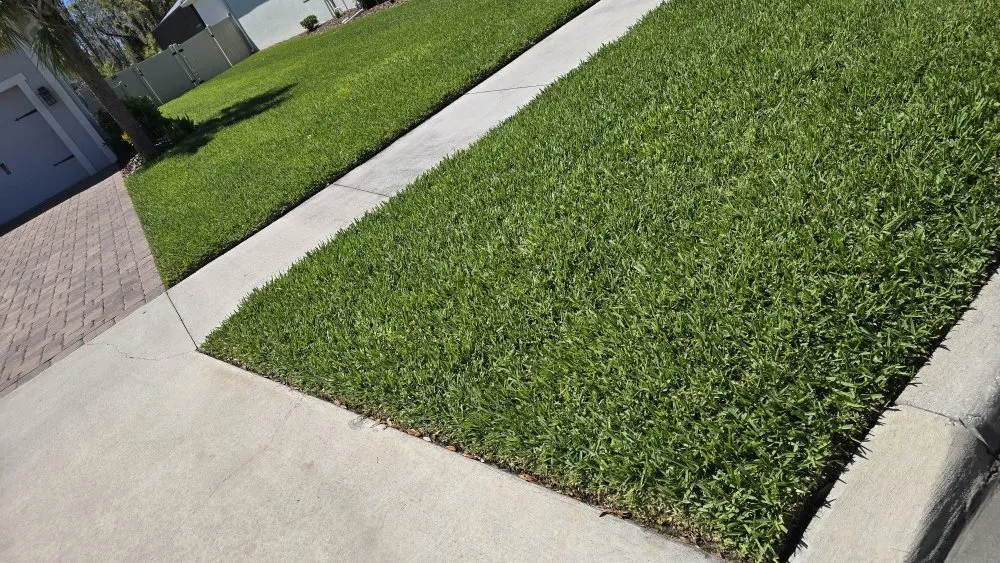 Trusted garden landscaping near you in Holiday, FL by Southard Lawn Care