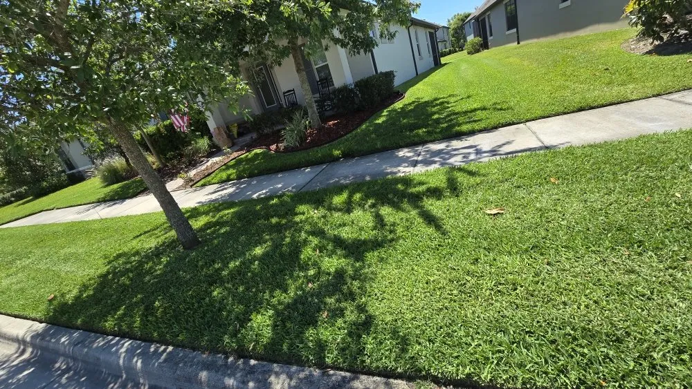 Affordable lawn mowing service in Holiday, FL by Southard Lawn Care