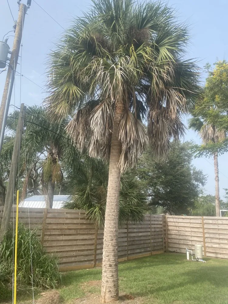 Expert yard cleanup service near you in North Port, FL by Southards Solutions