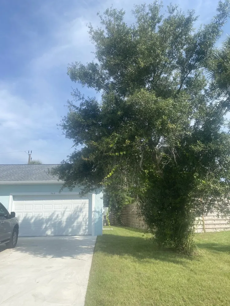 Reliable landscape design with custom design across North Port, FL - Southards Solutions