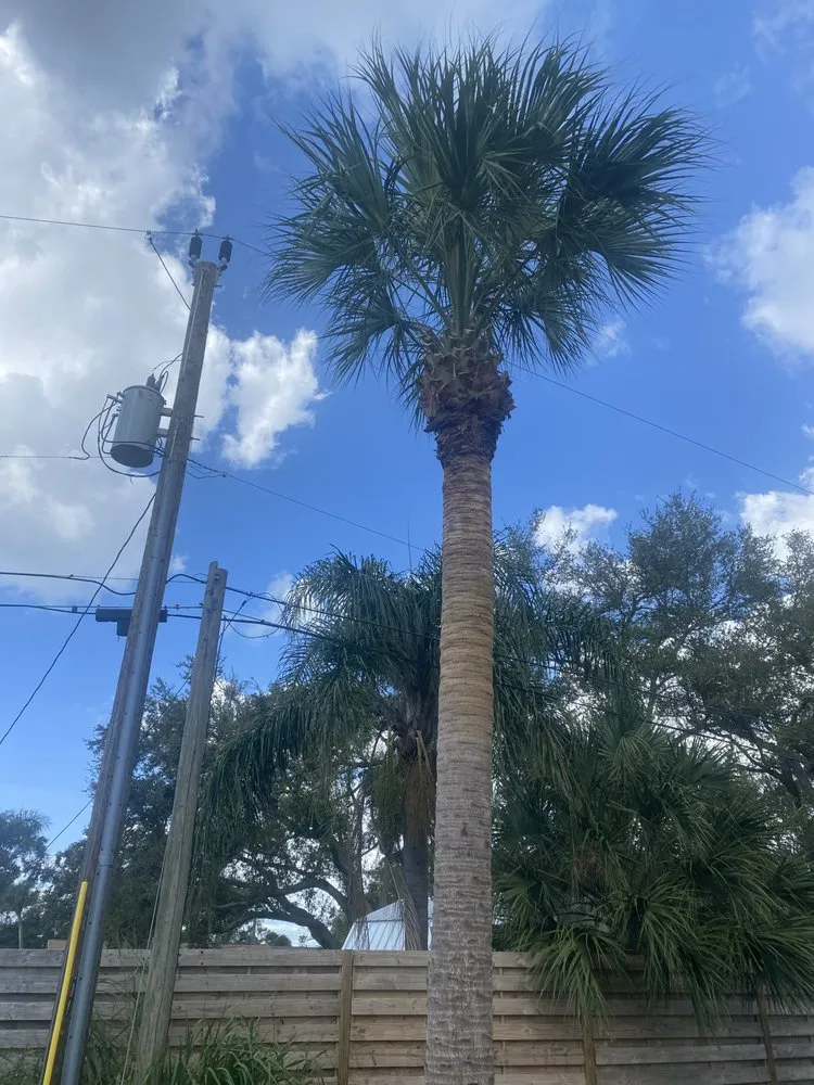 Local outdoor landscaping in North Port, FL by Southards Solutions