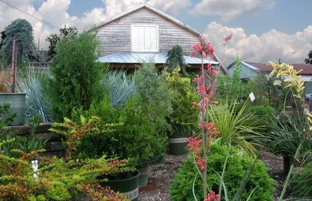 Custom residential landscaping for homes across Murfreesboro, TN - Southbranch Nursery