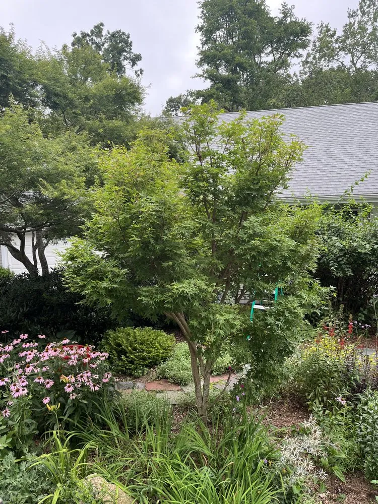 Professional lawn mowing service in New Bedford, MA - SouthCoast Native Landscapes