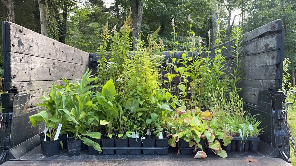 Reliable garden landscaping for homes across New Bedford, MA - SouthCoast Native Landscapes