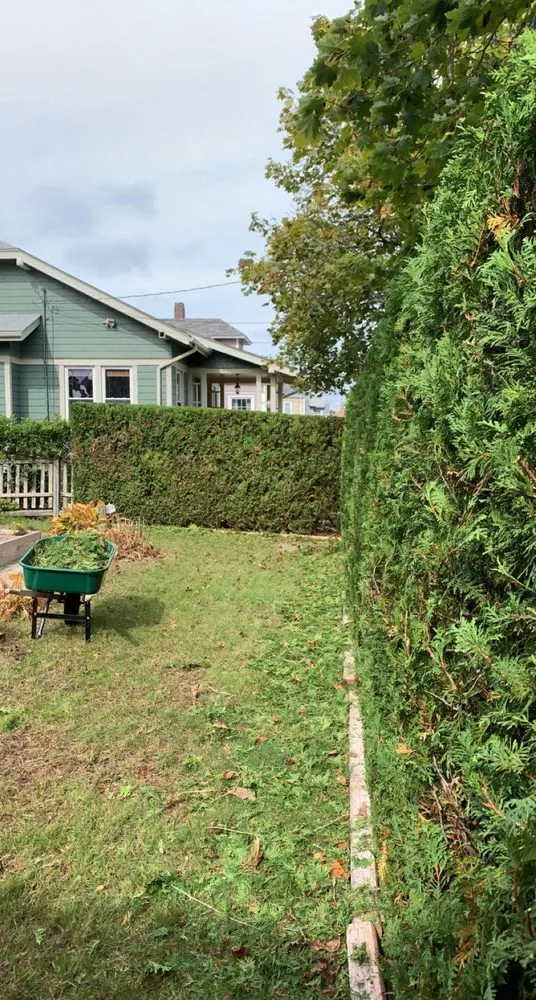 Top-rated yard cleanup service for beautiful yards across New Bedford, MA - SouthCoast Native Landscapes