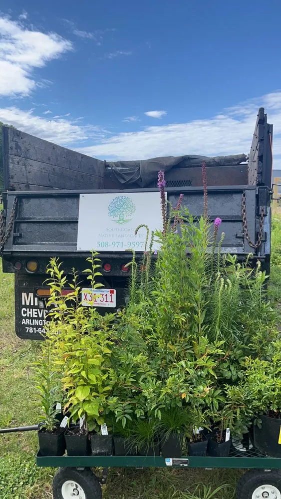 Professional yard cleanup service for beautiful yards in New Bedford, MA by SouthCoast Native Landscapes