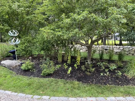 SouthCoast Native Landscapes