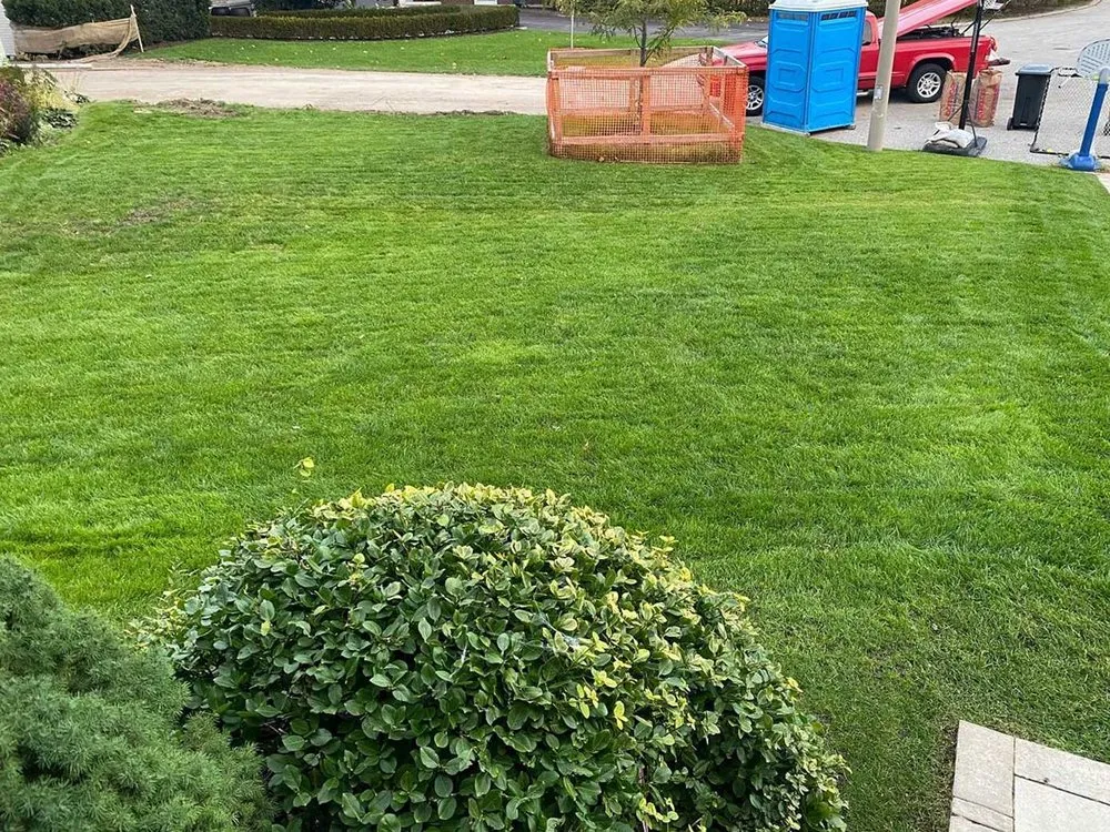 Expert lawn care service in San Diego, CA - Southcrest Lawn Services