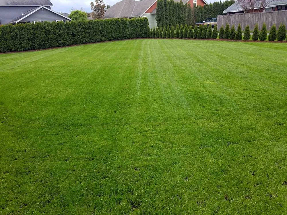 Local landscape installation in San Diego, CA - Southcrest Lawn Services