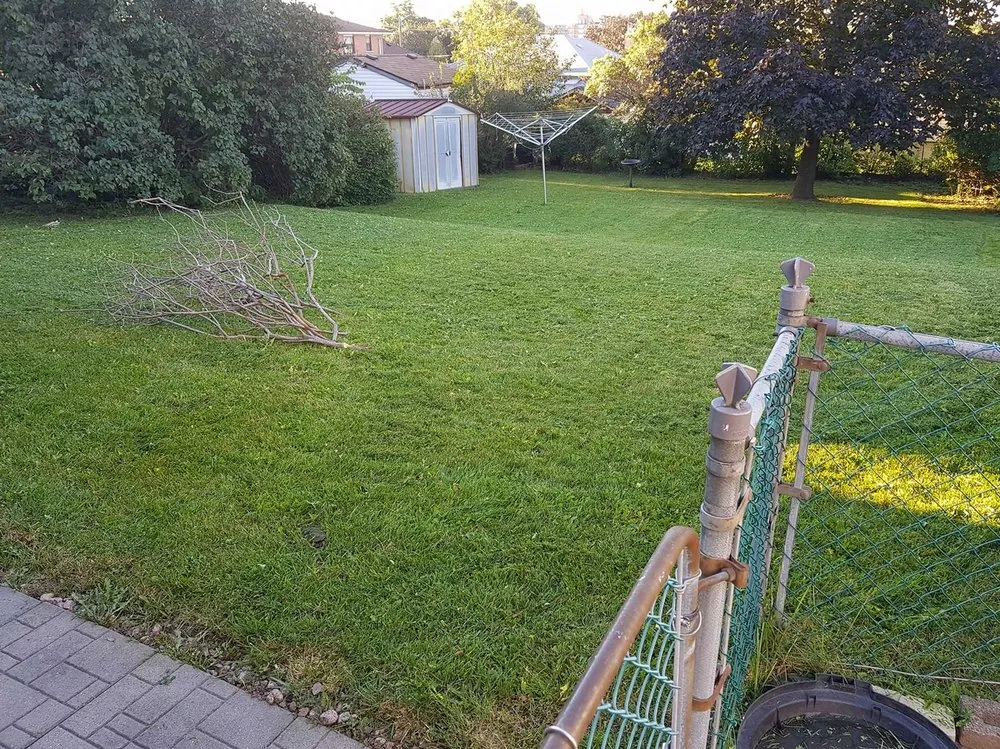 Reliable landscaping services for homes in San Diego, CA by Southcrest Lawn Services