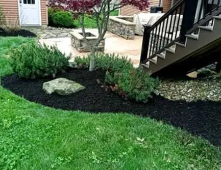 Top-rated yard maintenance for outdoor upgrades across San Diego, CA - Southcrest Lawn Services