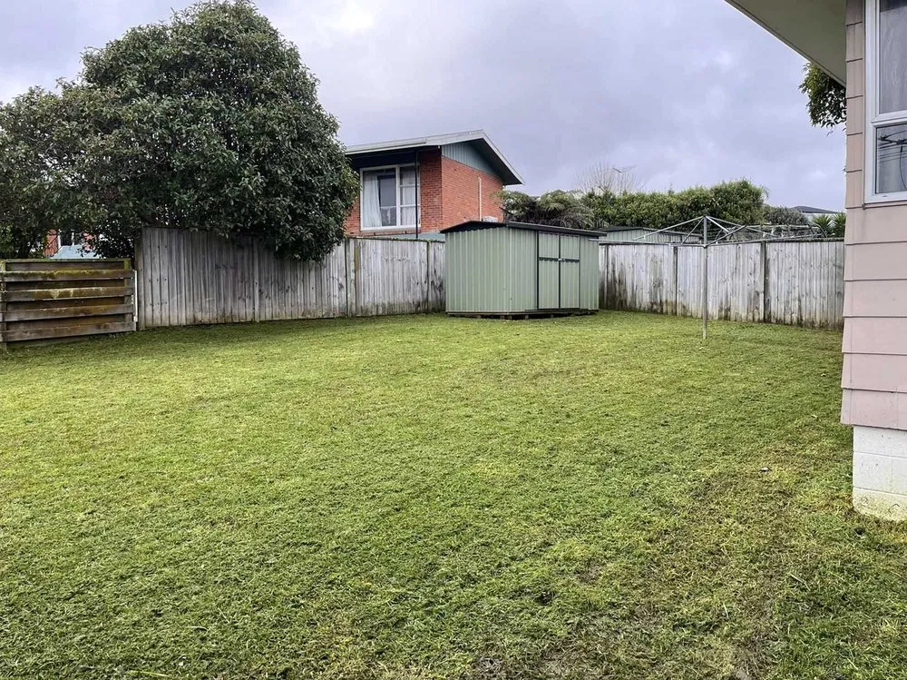 Top-rated yard cleanup service for outdoor upgrades in San Diego, CA by Southcrest Lawn Services