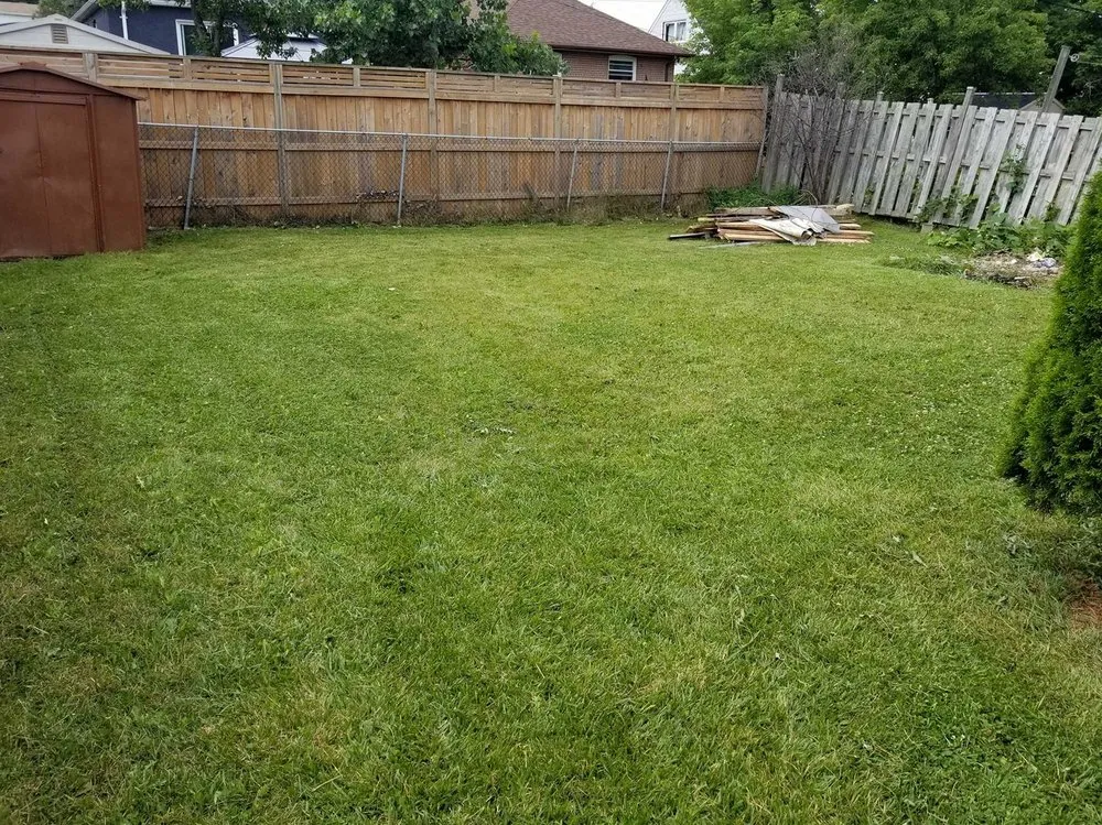 Reliable residential landscaping experts serving San Diego, CA - Southcrest Lawn Services