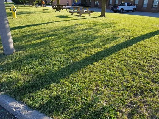 Southcrest Lawn Services Logo