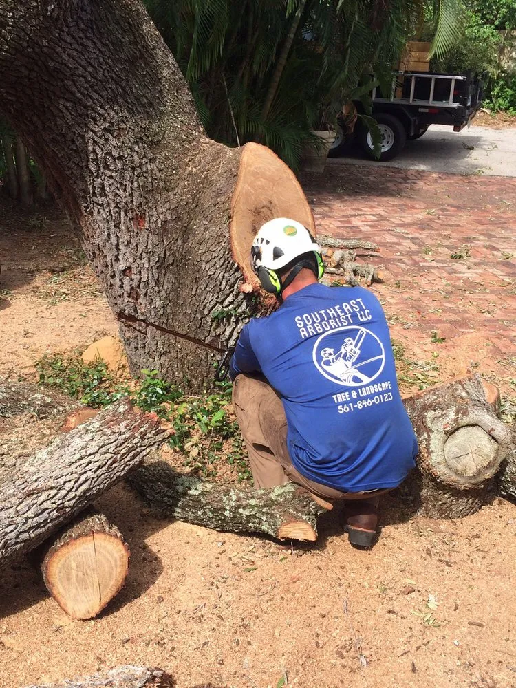 Reliable landscape installation for homes across Loxahatchee, FL - Southeast Arborist LLC