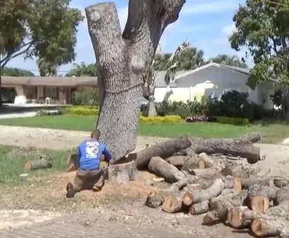 Custom landscape design in Loxahatchee, FL - Southeast Arborist LLC