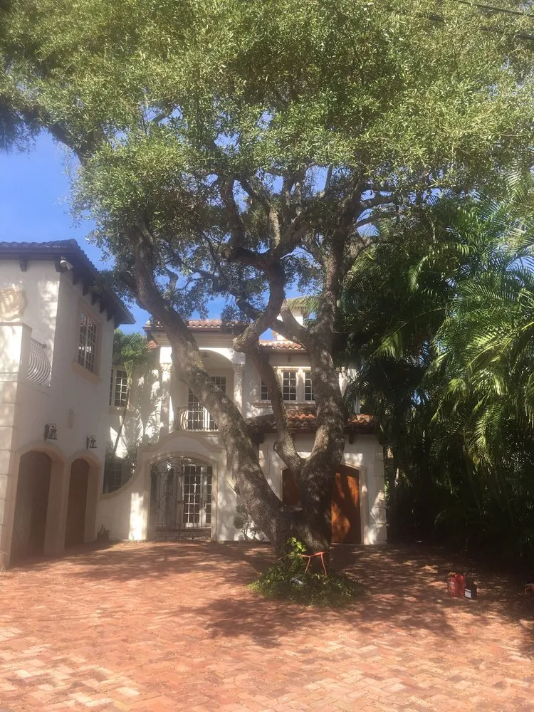 Custom lawn mowing service experts serving Loxahatchee, FL - Southeast Arborist LLC