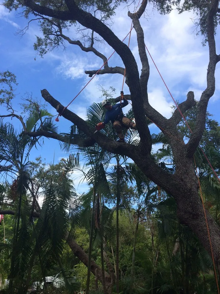 Trusted garden landscaping experts serving Loxahatchee, FL - Southeast Arborist LLC
